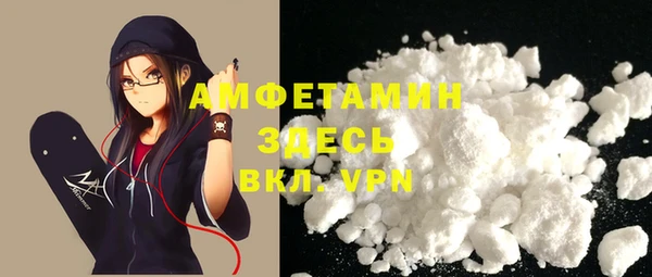 сатива Елабуга