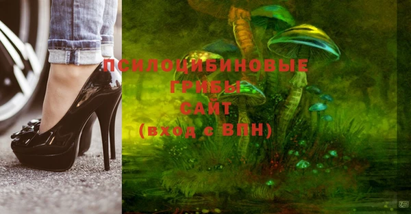 бутират Дмитровск