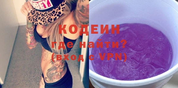 спиды Ельня