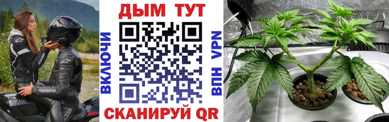 Бошки марихуана SATIVA & INDICA  Сретенск 